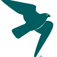 Falcon_Transparant Logo_teal